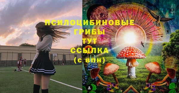 метадон Армянск